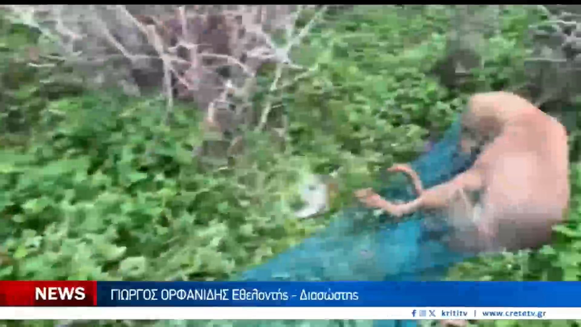 Μάχη με το χρόνο για σκυλίτσα που πυροβόλησαν στον καταυλισμό του Ηρακλείου