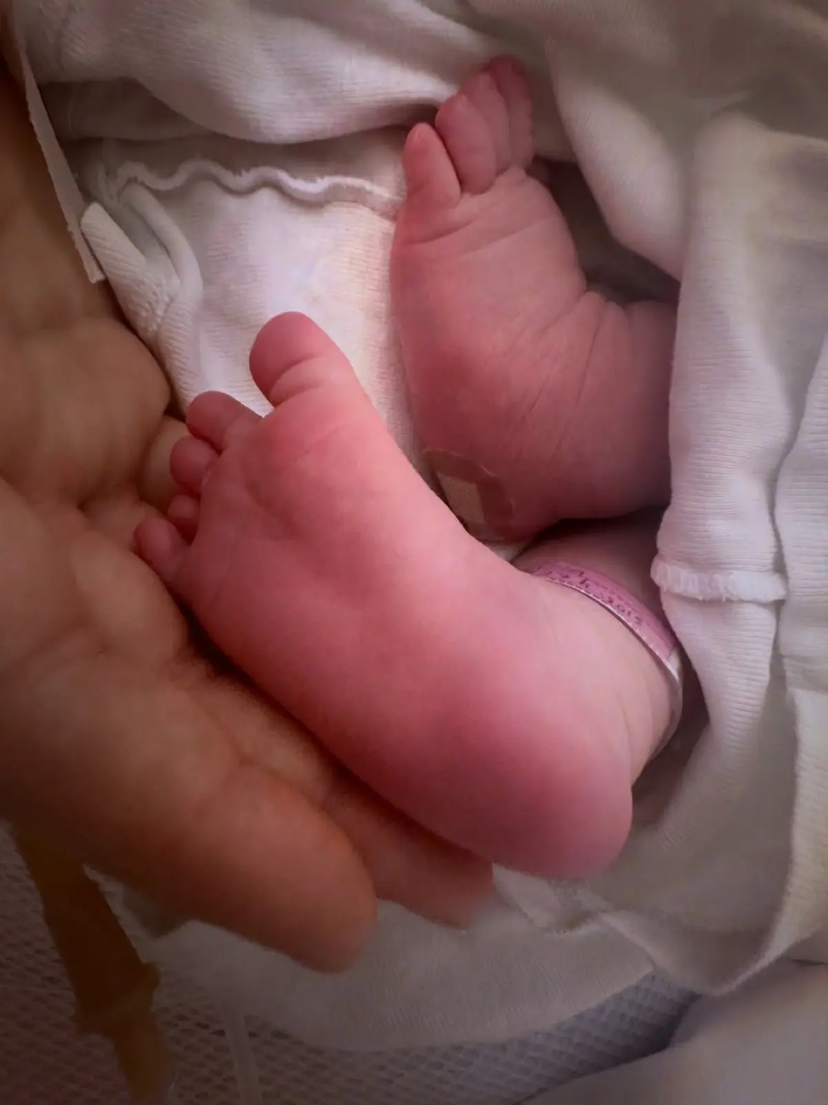 Η Μαρίνα Ντεμολάι από το MasterChef εγινε μητέρα για τρίτη φορά