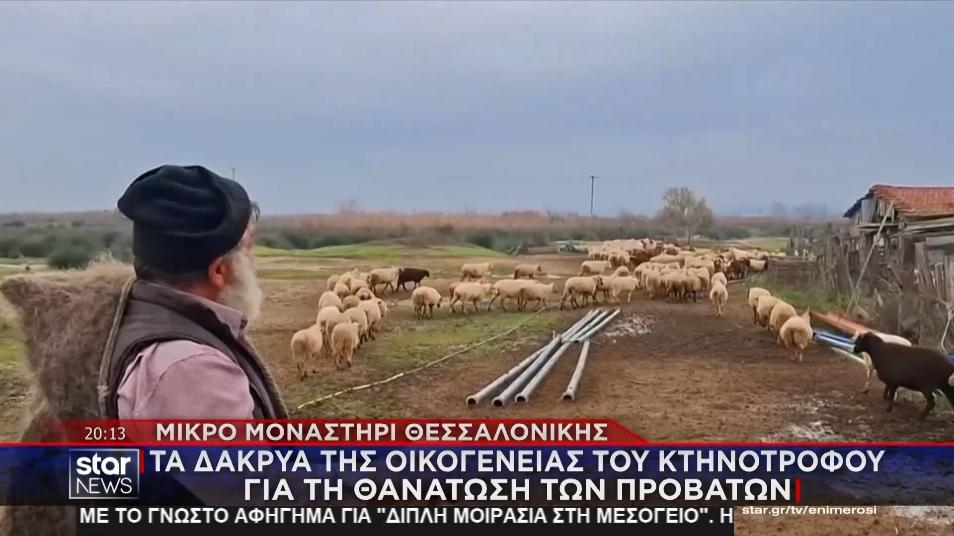 Μικρό Μοναστήρι Θεσσαλονίκης: Θανατώθηκε λόγω ευλογιάς το κοπάδι του κτηνοτρόφου