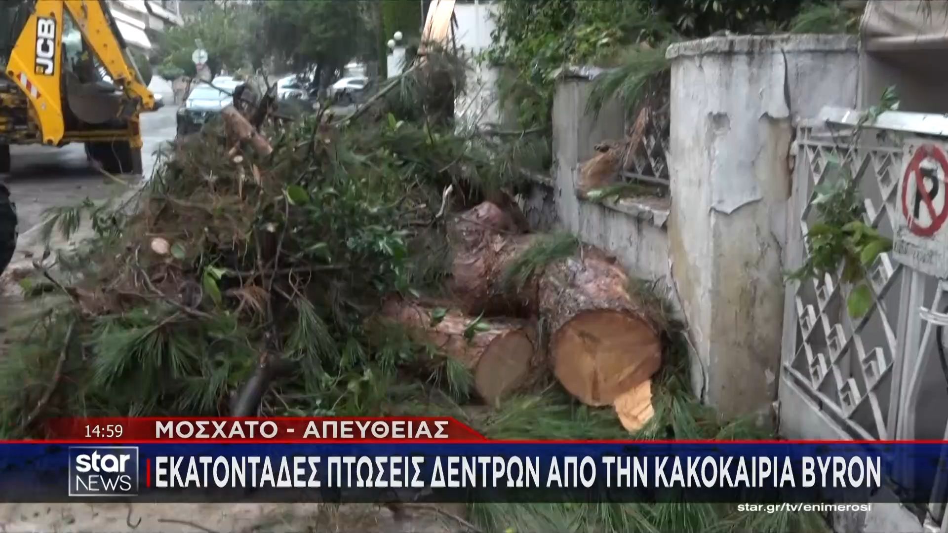 Μοσχάτο: Εκατοντάδες πτώσεις δέντρων από την κακοκαιρία Byron