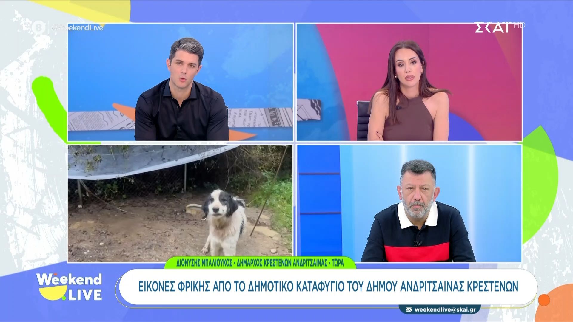 Ο Δήμαρχος Ανδρίτσαινας Κρεστένων, Δ. Μπαλιούκος, μιλά για τις εικόνες φρίκης στο δημοτικό καταφύγιο