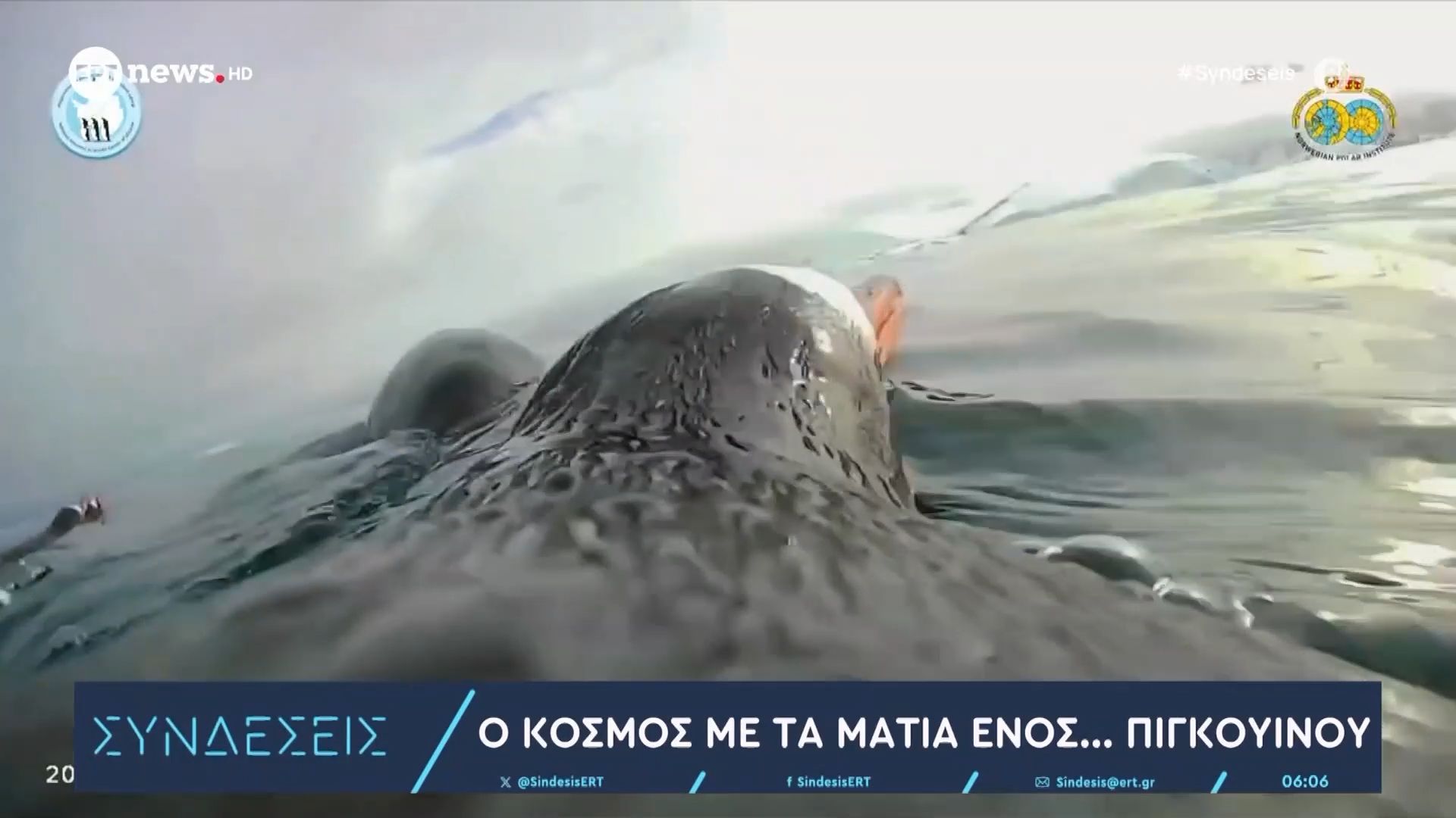 Ο κόσμος με τα μάτια ενός… πιγκουίνου