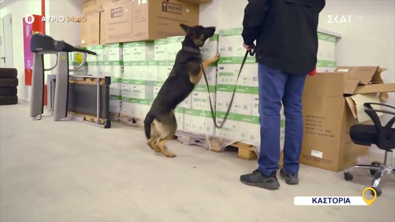 opoy-yparchei-ellada-kastoria-trailer-10122025-1765315175