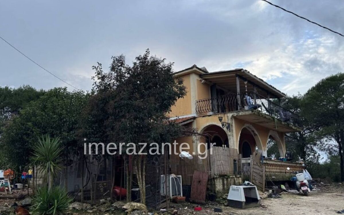 paidi-skilos-zakinthos-2-1200x750