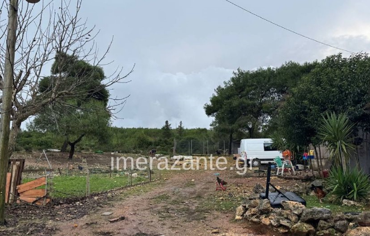 Ζάκυνθος: Αδέσποτος σκύλος που υιοθέτησαν οι γονείς επιτέθηκε θανάσιμα στο 2χρονο παιδί 3 Ζάκυνθος