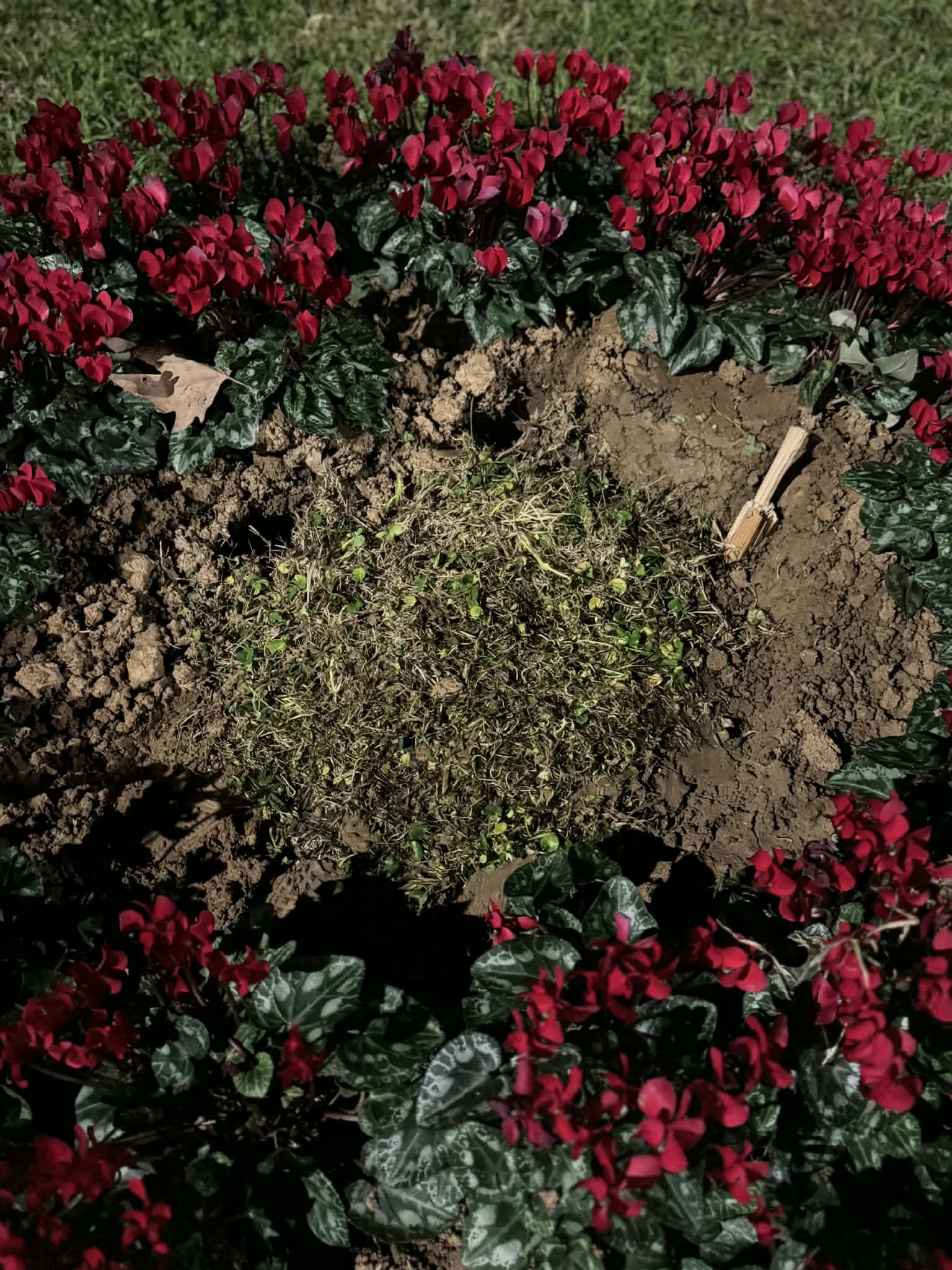 Θεσσαλονίκη: Άγνωστοι αφαίρεσαν τη μαρμάρινη πλάκα στη Νέα Παραλία για τις κακοποιημένες γυναίκες 2 πλάκα