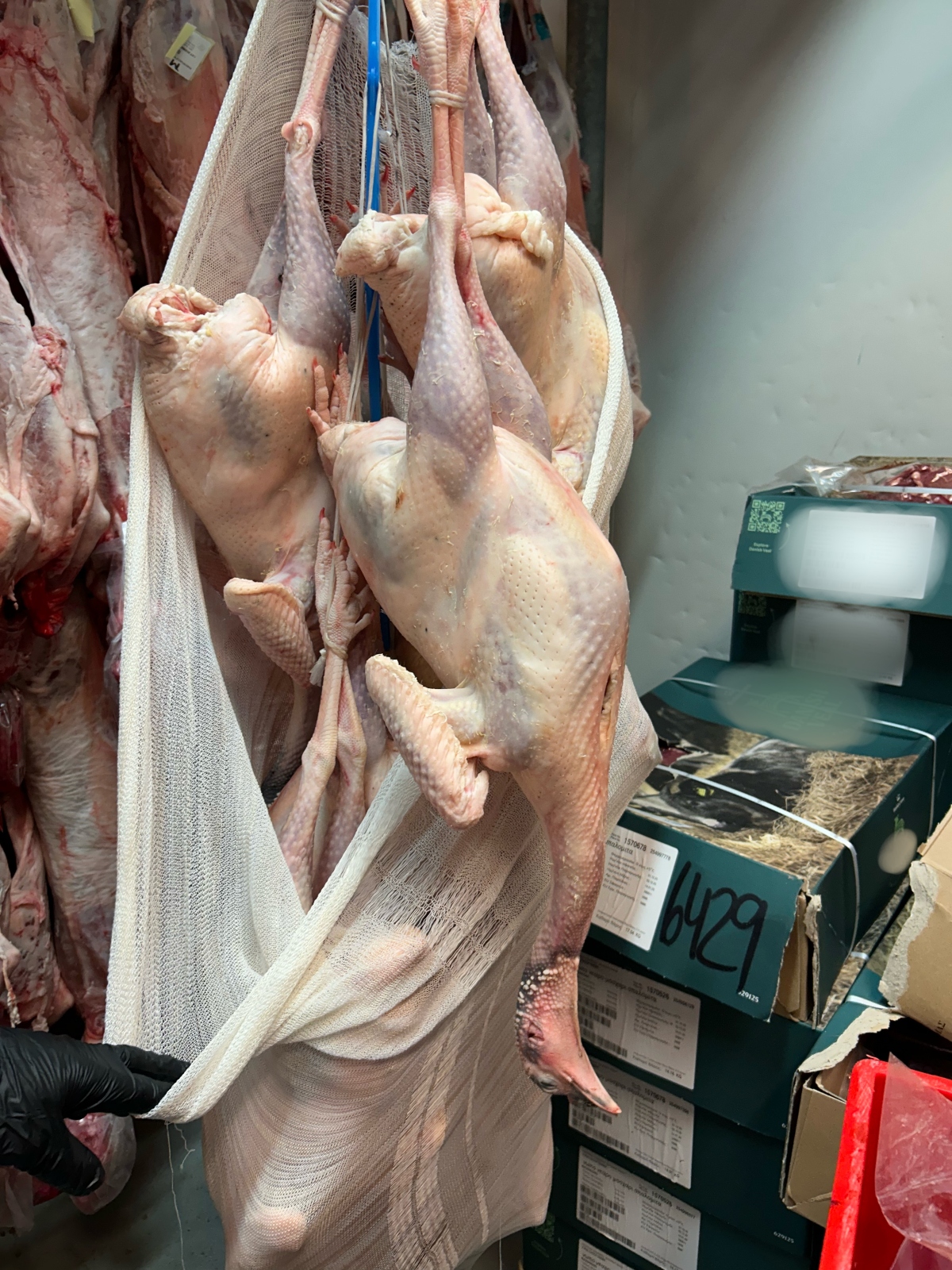 Περιφέρεια Αττικής: Κατασχέθηκαν 12 τόνοι ακατάλληλων προϊόντων – «Μηδενική ανοχή σε επικίνδυνα παιχνίδια με την υγεία», δηλώνει ο Χαρδαλιάς