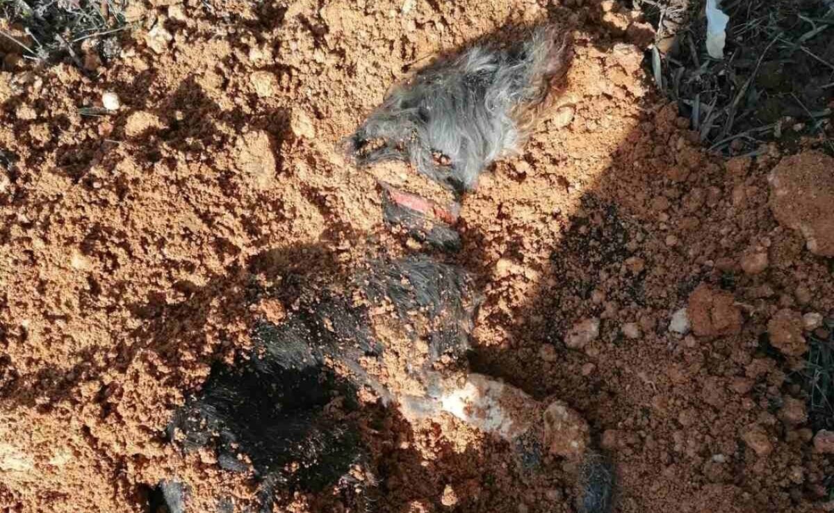 skilos-thessaloniki-1200x738