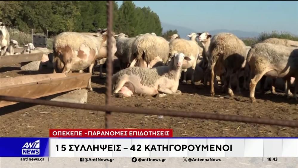 sklandalo-opekepe-to-elliniko-fbi-perase-cheiropedes-se-15-atoma-sti-kriti-1765561151