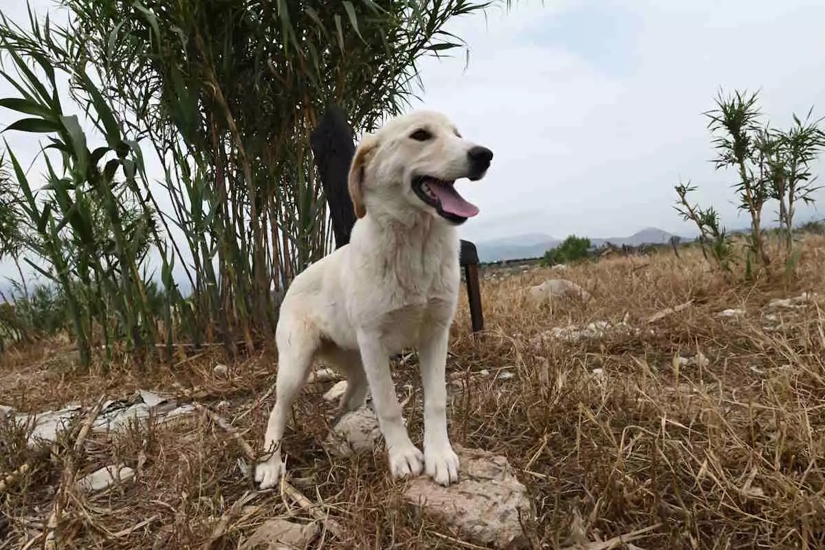 skylos217570-eurokinissi-26092024