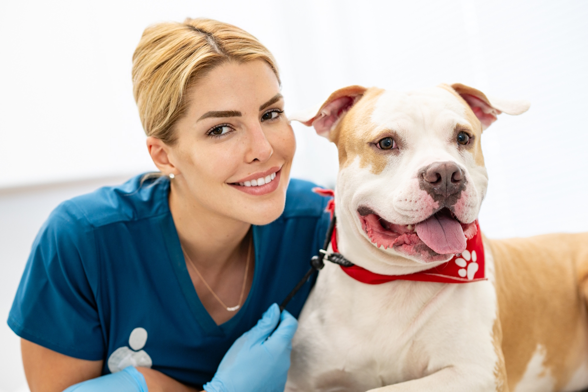 “Η Αξία της Προσαρμοσμένης Διατροφής ανάλογα με το Μέγεθος και τη Φυλή του Σκύλου”