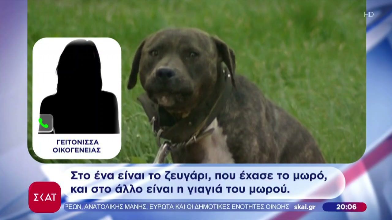 Σοκ στη Ζάκυνθο: Νεκρό παιδί 2 ετών μετά από επίθεση σκύλου