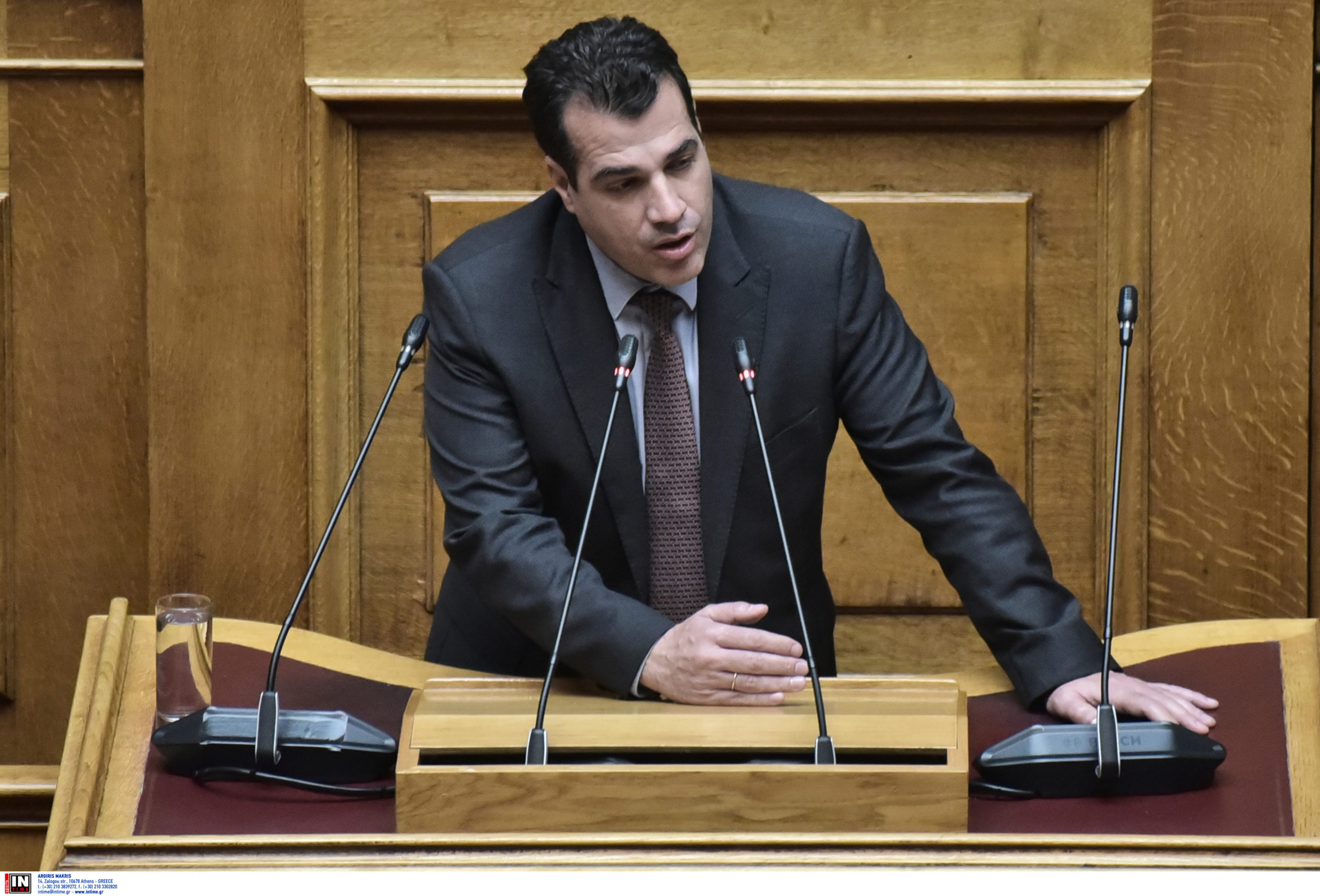 thanos-plevris-vouli