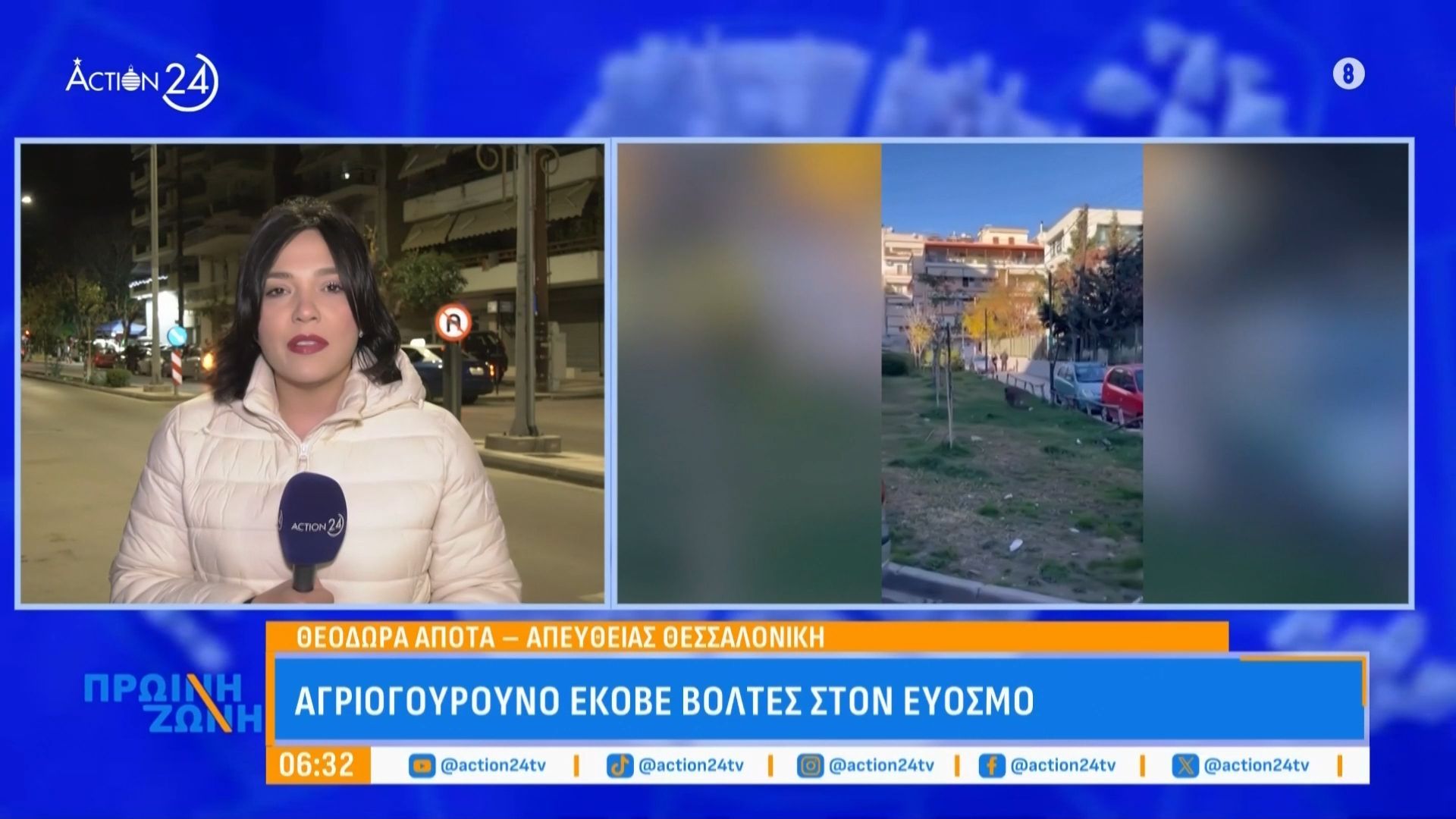 Θεσσαλονίκη: Αγριογούρονο έκοβε βόλτες στον Εύοσμο