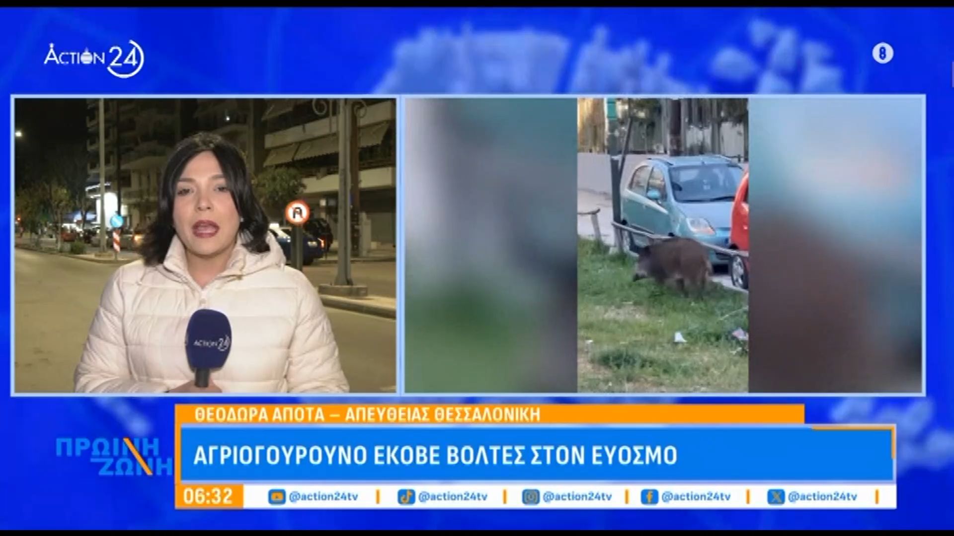 Θεσσαλονίκη: Αγριογούρουνο εθεάθη σε κεντρική οδό στον Εύοσμο.