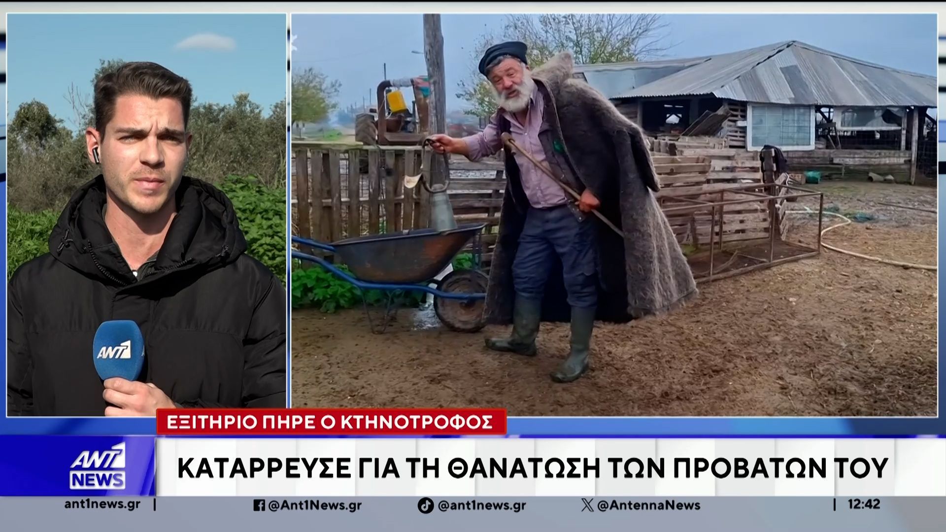 thessaloniki-eksitirio-pire-o-ktinotrofos-poy-echase-to-kopadi-toy-logo-eylogias-1765192833