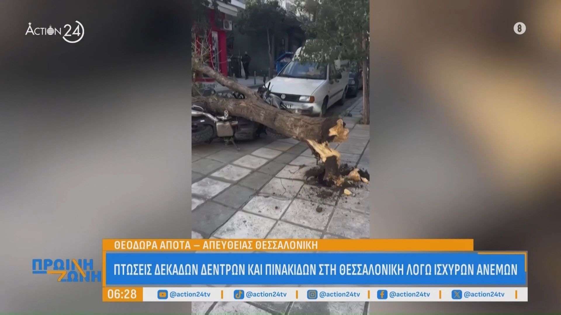 Θεσσαλονίκη: Πτώσεις δεκάδων δένδρων και πινακίδων λόγω ισχυρών ανέμων
