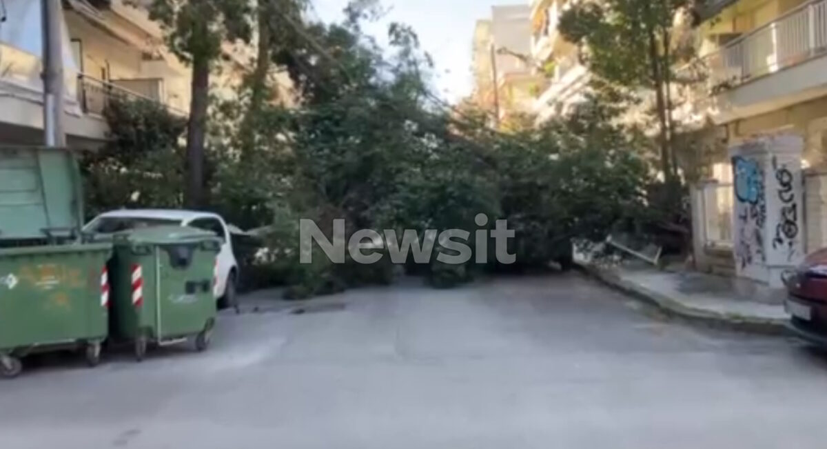 Θεσσαλονίκη: Δέντρα κατέρρευσαν λόγω ισχυρών ανέμων