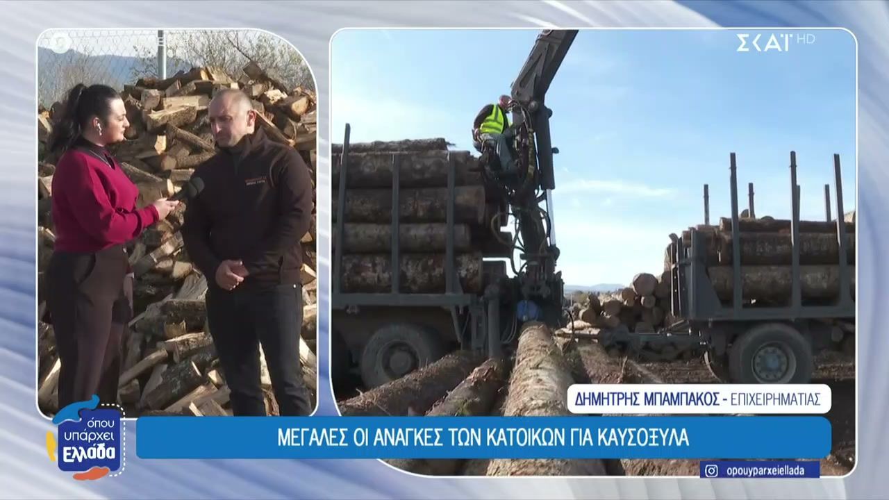 ti-na-proseksoyn-oi-katanalotes-stin-agora-ksyloy-poia-kaysoksyla-einai-pio-apodotika-1765371772