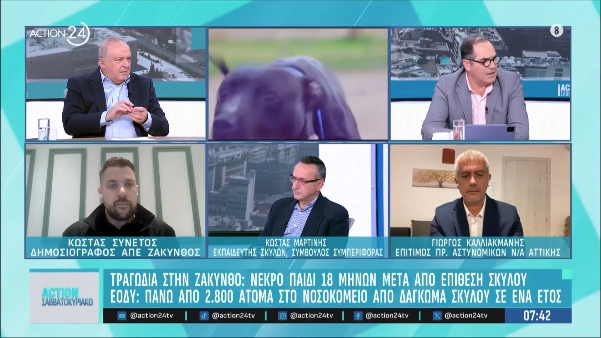 tragodia-sti-zakyntho-nekro-to-18-minon-paidi-apo-epithesi-skyloy-2-800-anthropoi-sto-nosokomeio-ton-teleytaio-chrono-1765087964