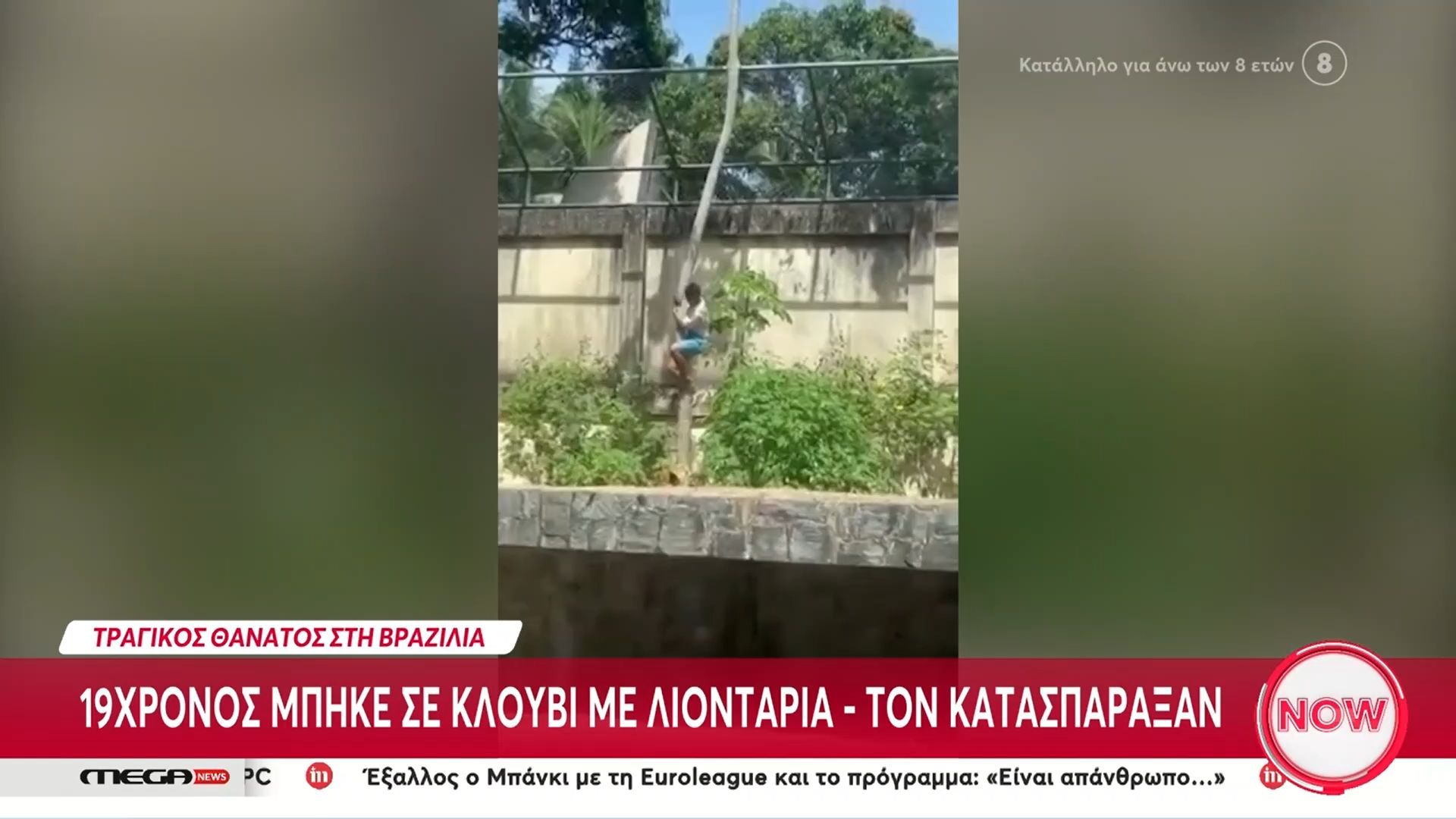 vrazilia-tragikos-thanatos-19chronoy-poy-mpike-se-kloyvi-me-liontaria-1764595543