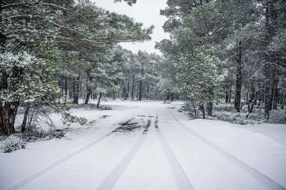 xionia-eurok-2-1200x800