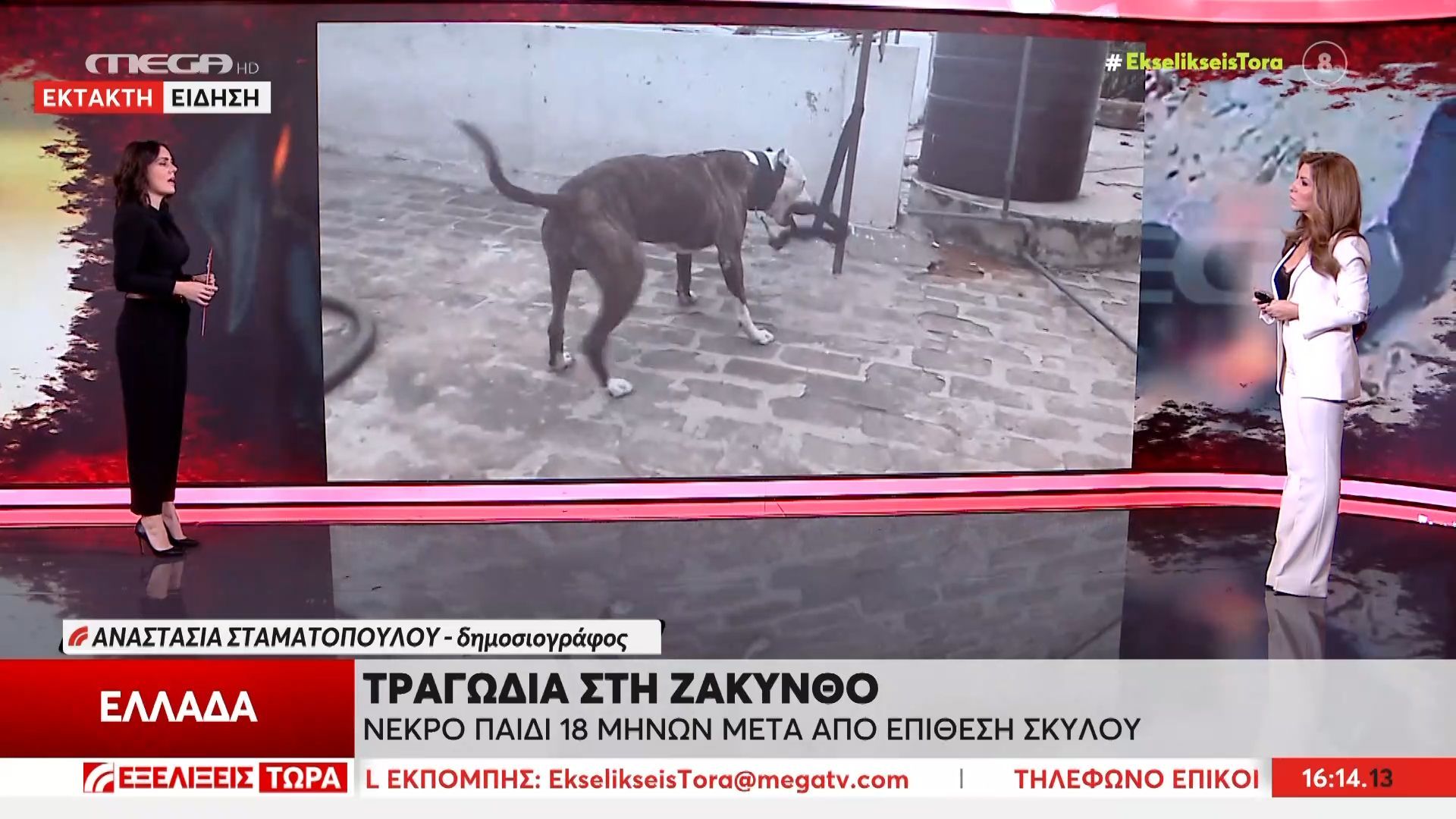 zakynthos-nekro-paidi-18-minon-apo-epithesi-skyloy-1765031214