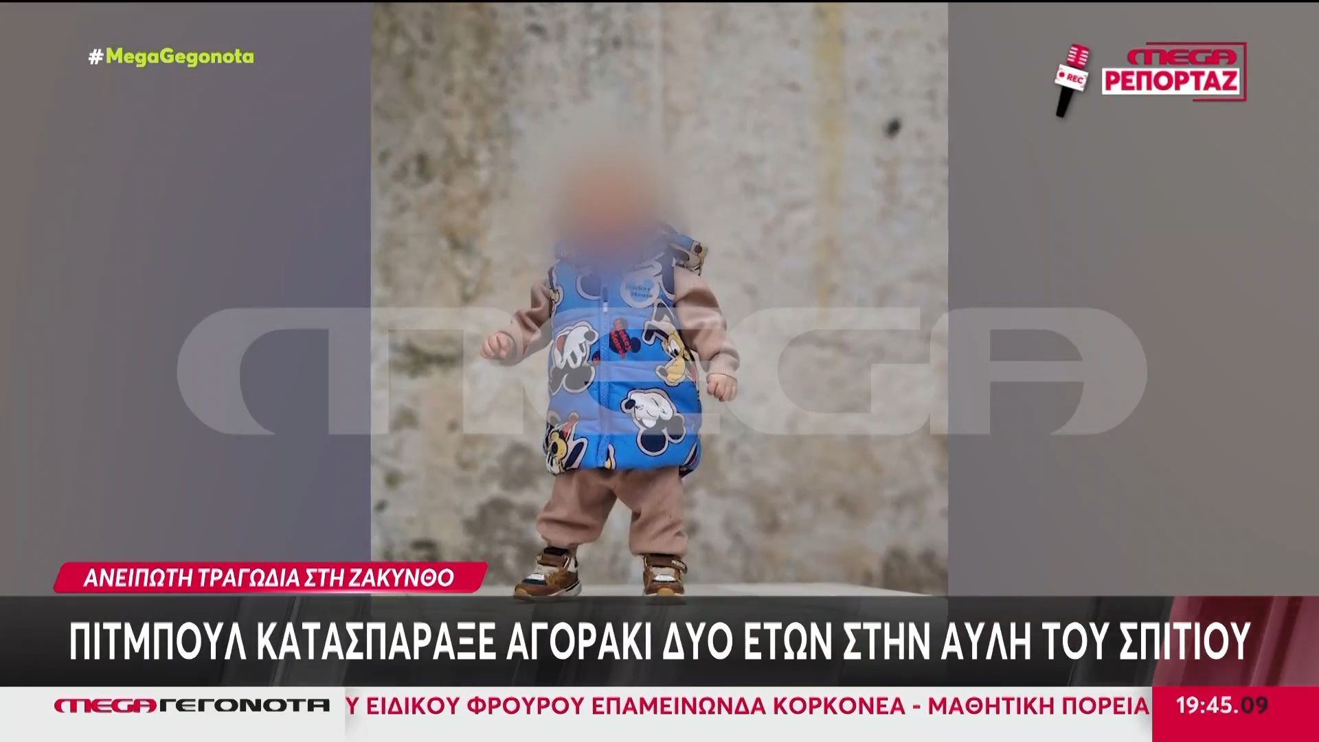 Ζάκυνθος: Πίτμπουλ κατασπάραξε αγοράκι 2 ετών στην αυλή του σπιτιού του