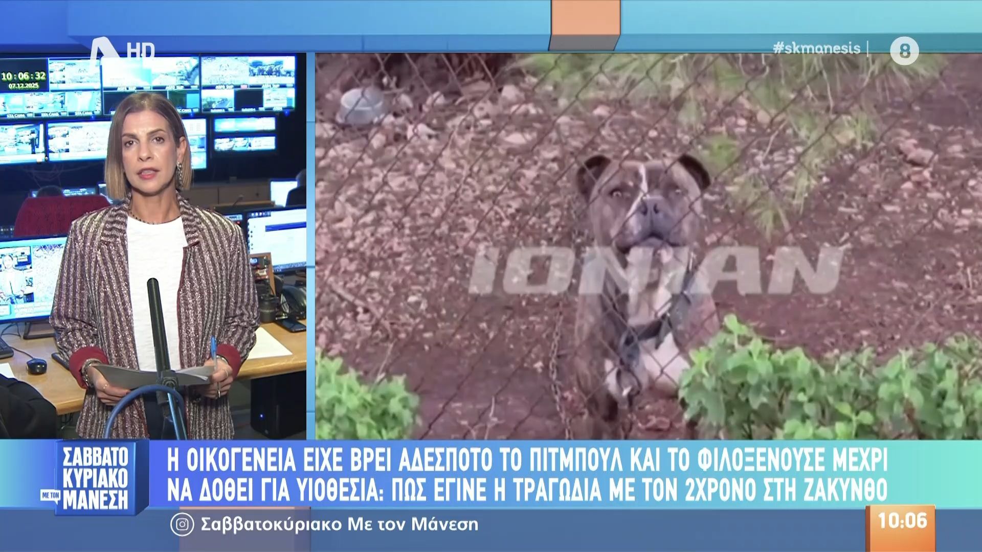 Ζάκυνθος: Τραγωδία με πίτμπουλ που κατασπάραξε 2χρονο – Η οικογένεια περίμενε να δώσει το σκυλί για υιοθεσία