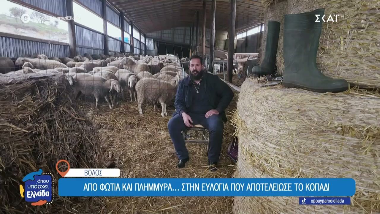 Βόλος-Από-φωτιά-και-πλημμύρα.-στην-ευλογιά-που-αποτελείωσε-το-κοπάδι