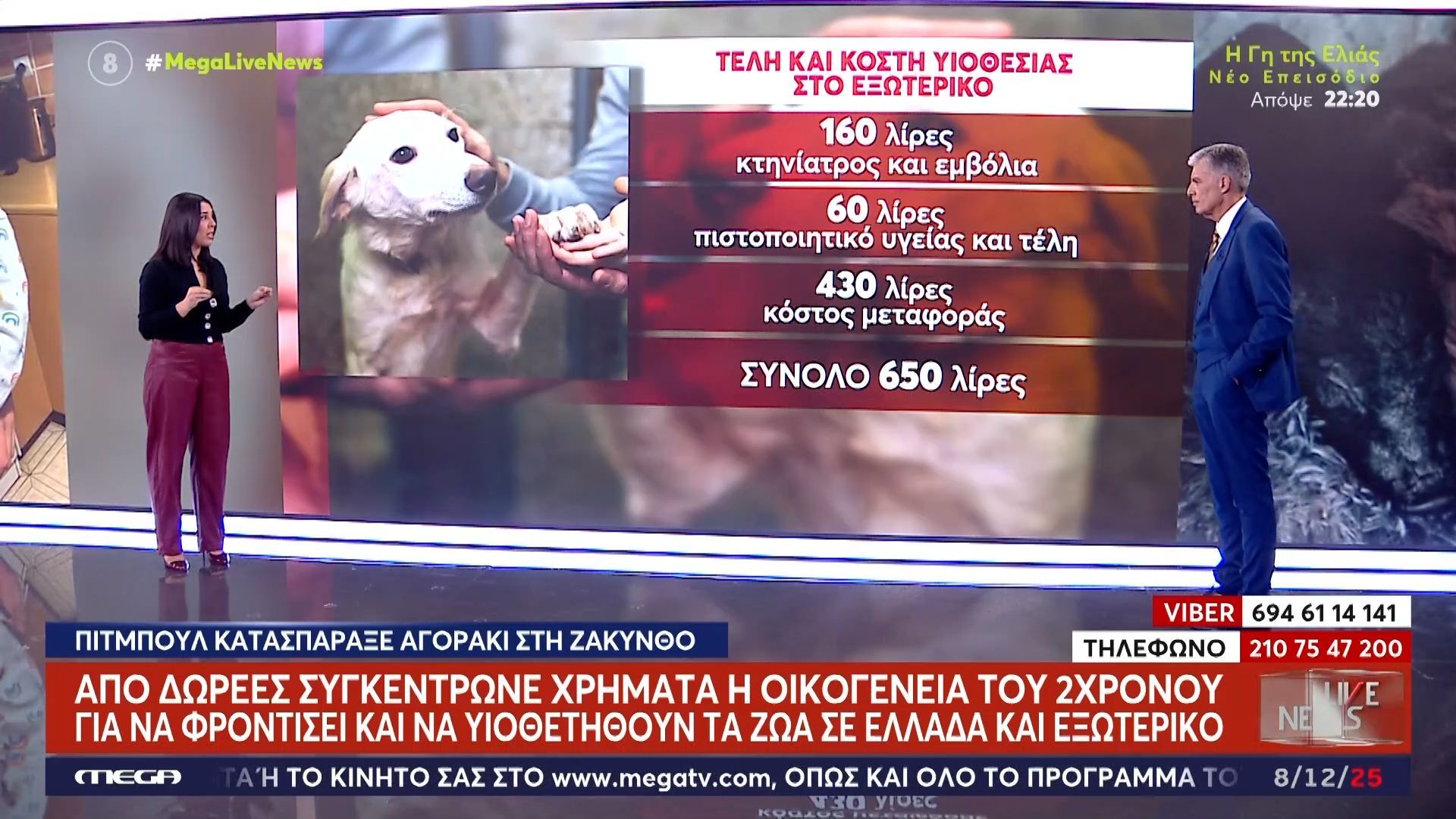 Η-οικογένεια-του-2χρονου-περιέθαλπτε-αδέσποτα-ζώα-και-τα-διέθετε-προς-υιοθεσία