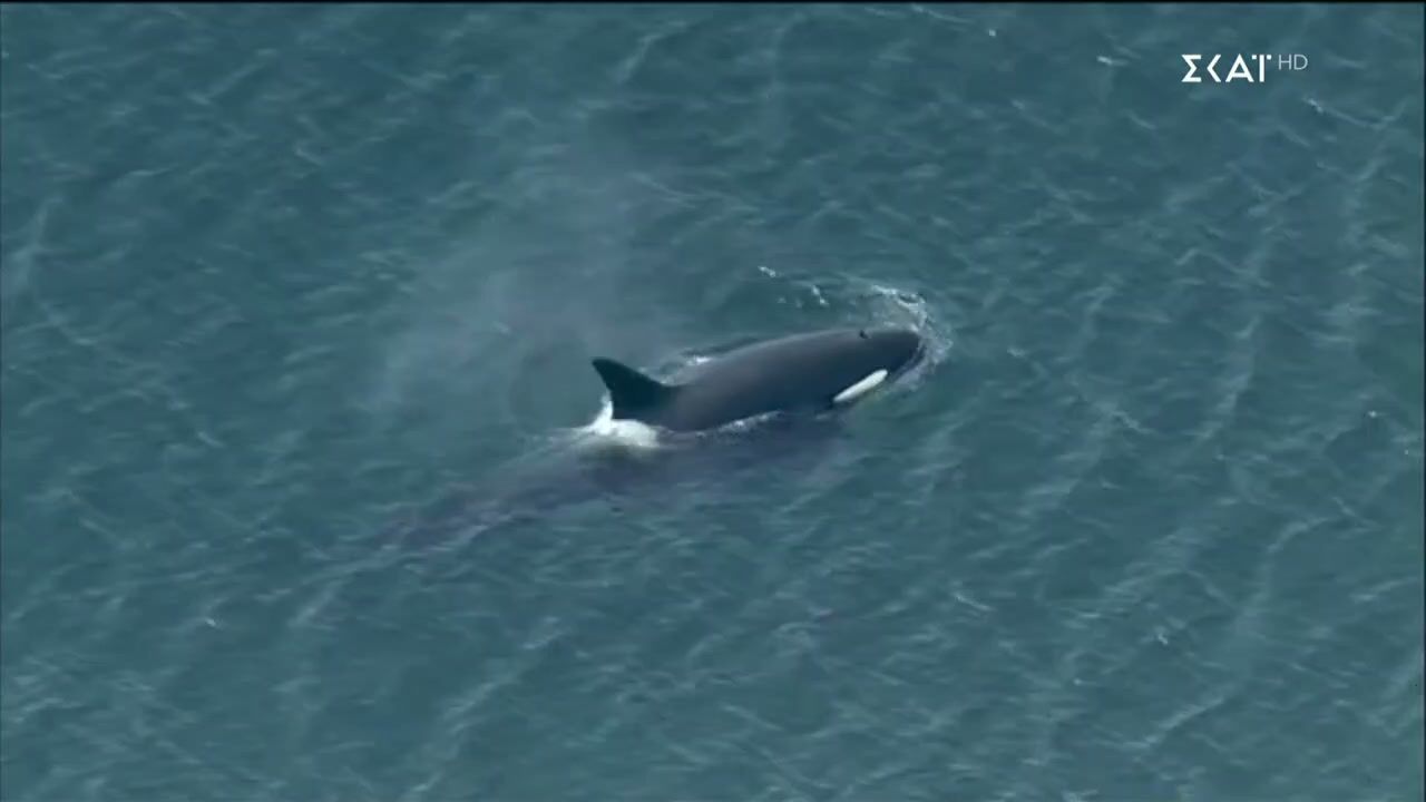 Καλά Νέα | 21/12/2025