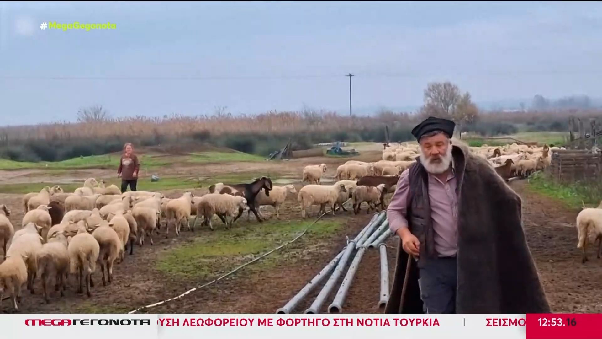 Κατέρρευσε-ο-κτηνοτρόφος-που-αποχαιρέτησε-με-δάκρυα-τα-450-πρόβατά-του