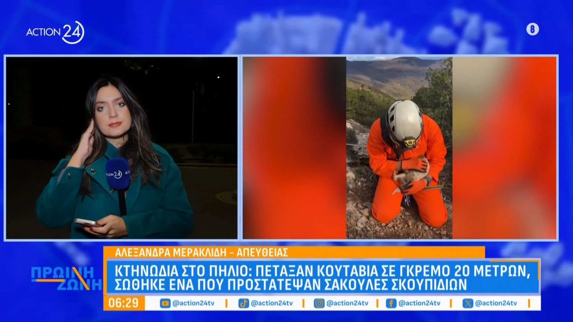 Κτηνωδία-στο-Πήλιο-Πέταξαν-κουτάβια-σε-γκρεμό-20-μέτρων-Σώθηκε-ένα-που-το-προστάτεψαν-σακούλες-σκουπιδιών