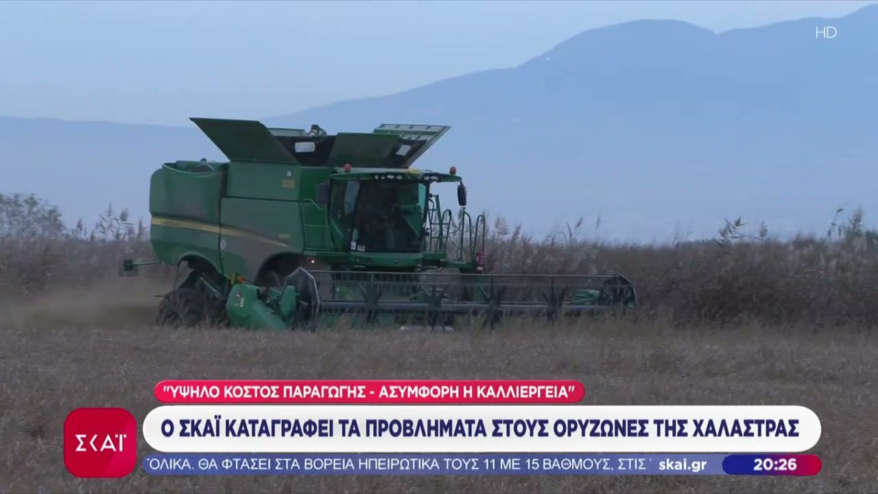 Ο-ΣΚΑΪ-καταγράφει-τα-προβλήματα-στους-Ορυζώνες-της-Χαλάστρας