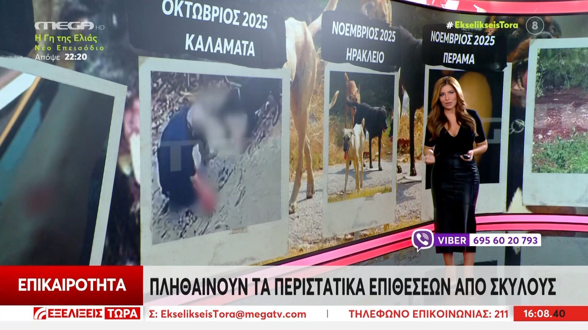 Πληθαίνουν-τα-περιστατικά-επιθέσεων-από-σκύλους-Τι-συμβουλεύουν-οι-εκπαιδευτές