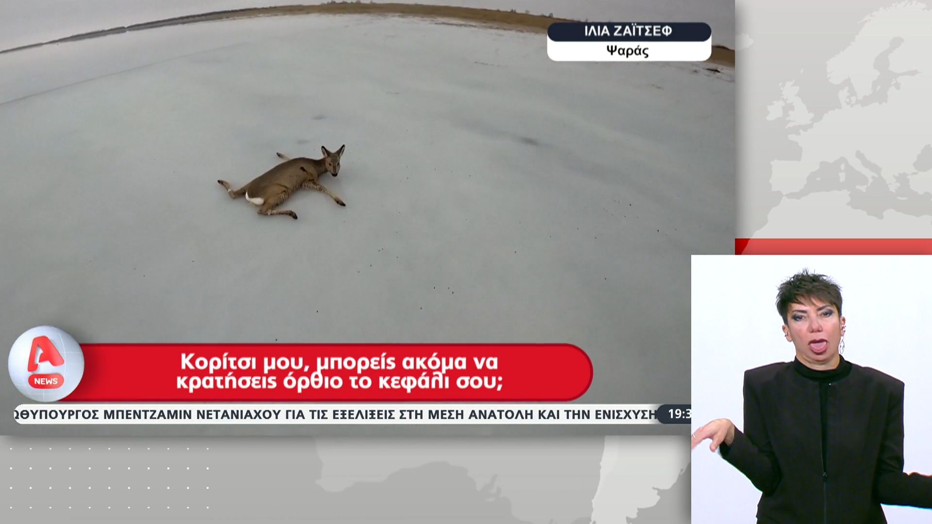 Συνθήκες-πολικού-ψύχους-Ψαράδες-σώζουν-ελάφια-και-ζαρκάδια