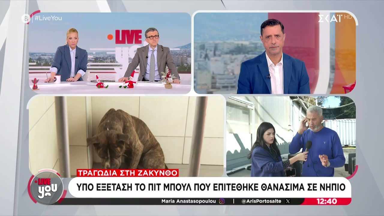 Τραγωδία-στη-Ζάκυνθο-Υπό-εξέταση-το-πιτ-μπουλ-που-επιτέθηκε-θανάσιμα-σε-νήπιο