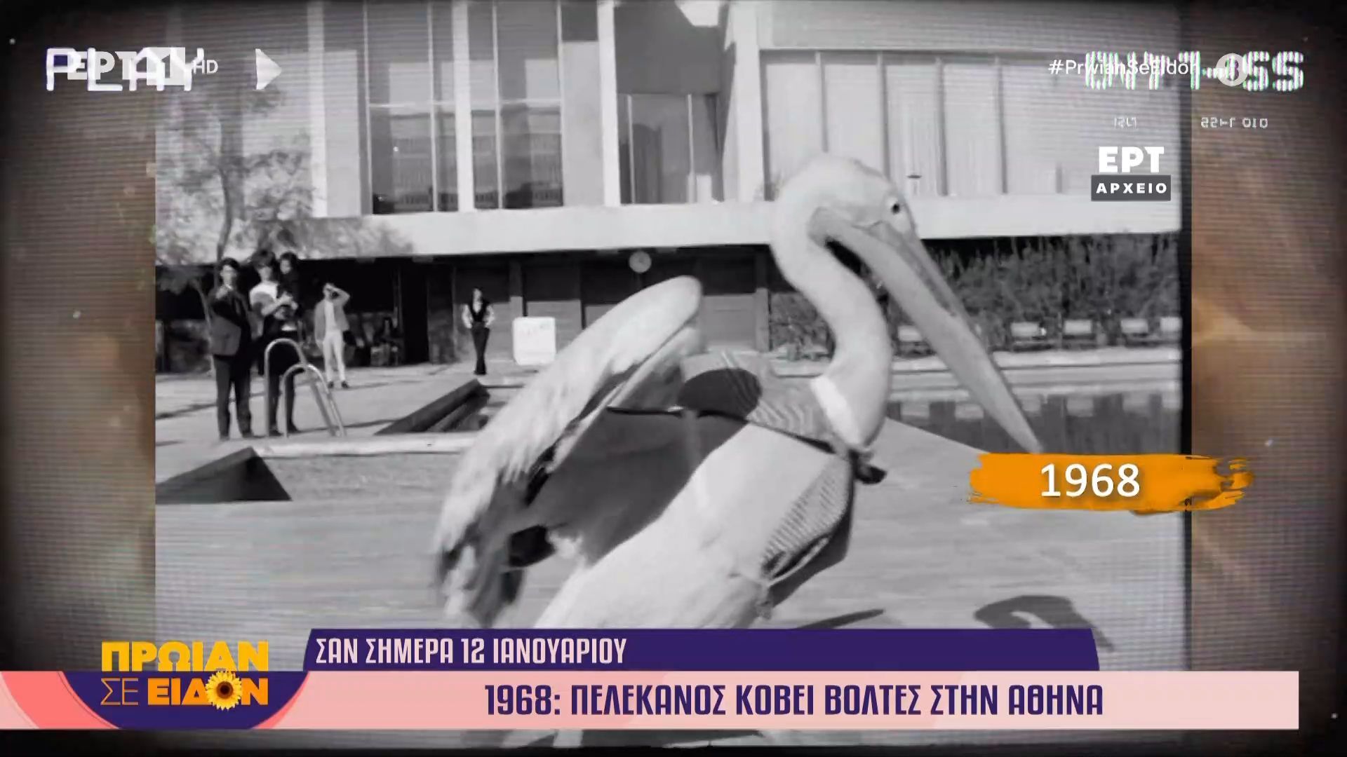 12-ianoyarioy-1968-pelekanos-kovei-voltes-stin-athina