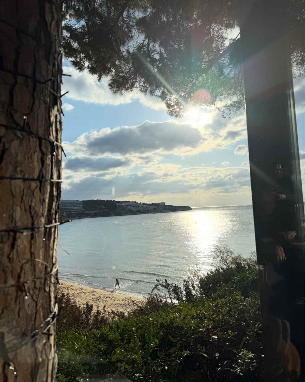 Σπυροπούλου: «Μια εβδομάδα γεμάτη ευγνωμοσύνη» - Τα τρυφερά στιγμιότυπα με τους γιους της