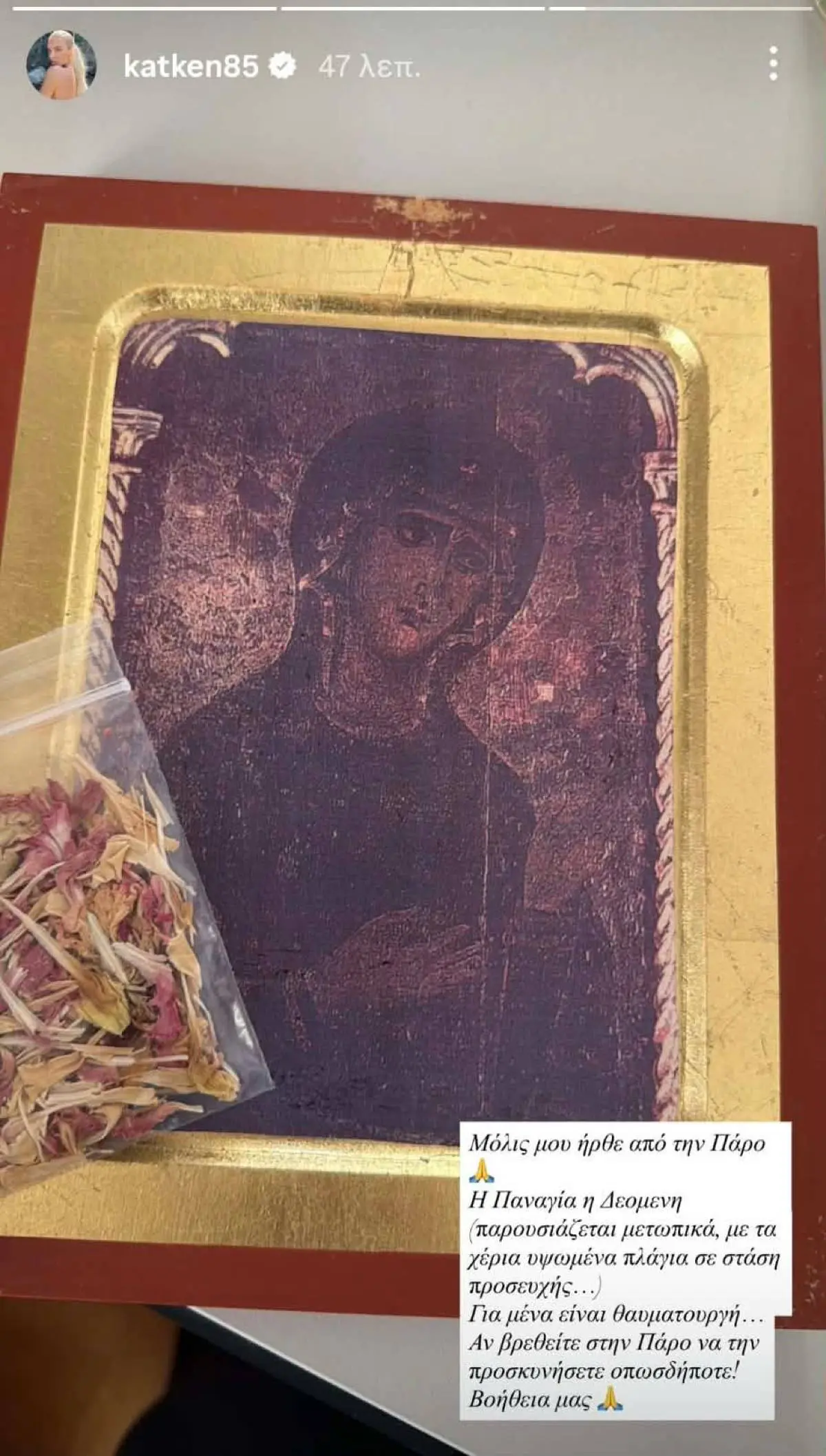 Η εικόνα που έλαβε η Κατερίνα Καινούργιου