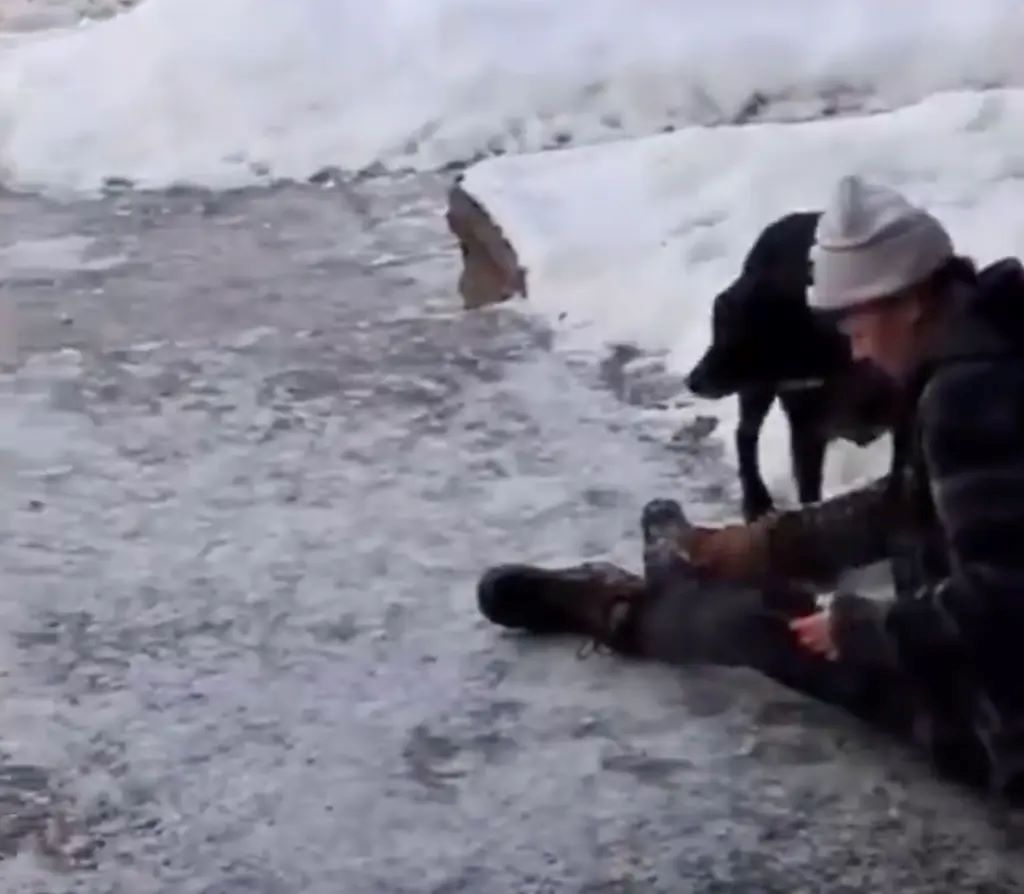 Μινεάπολη: Ποια ήταν η 37χρονη «ποιήτρια» που σκοτώθηκε από πυρά της ICE – Βίντεο με τη σύζυγό της να θρηνεί 13 Μινεάπολη