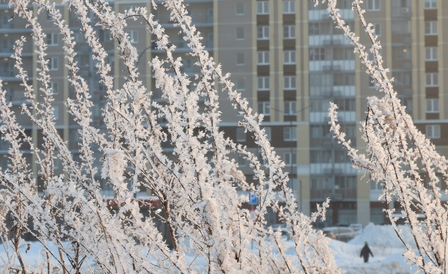Ρώσοι απολαμβάνουν σκι στους κεντρικούς δρόμους της Μόσχας, βίντεο