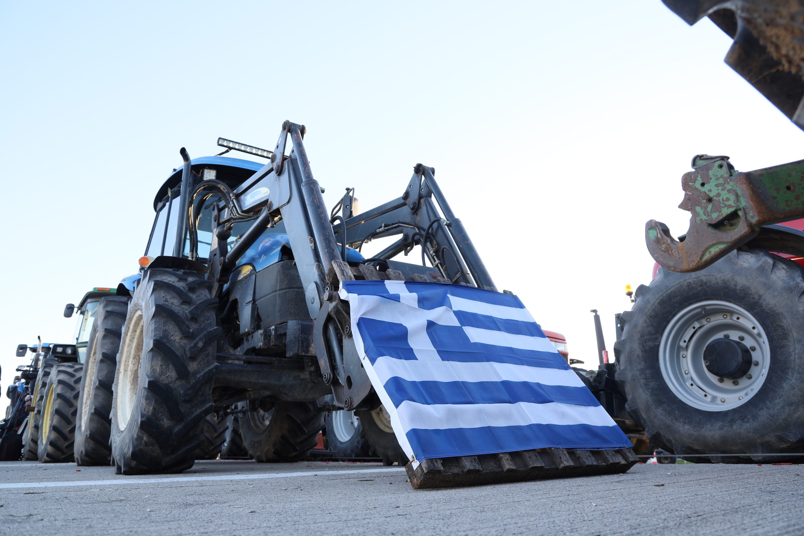 agrotes-aggelokastro3-scaled