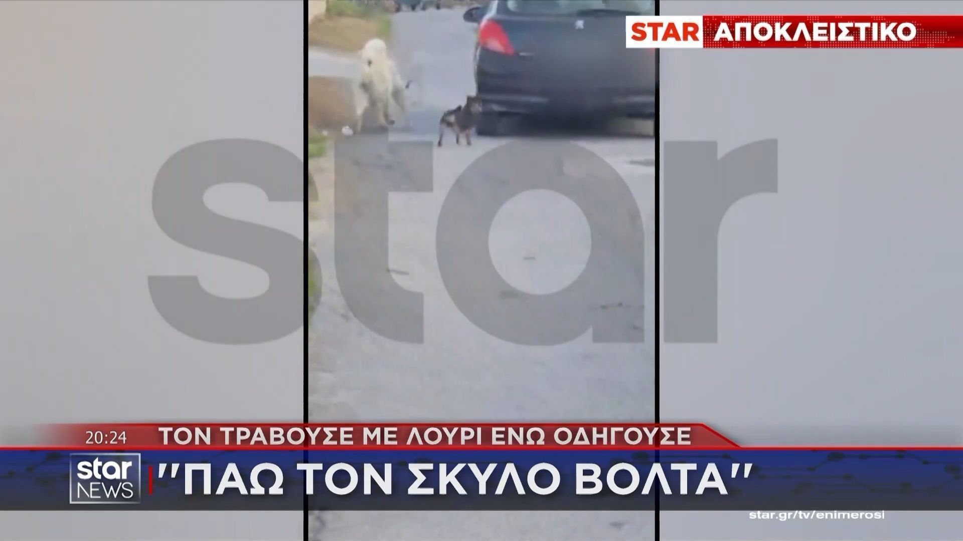 Απίστευτο συμβάν με άνδρα να τραβά το σκύλο του ενώ οδηγούσε