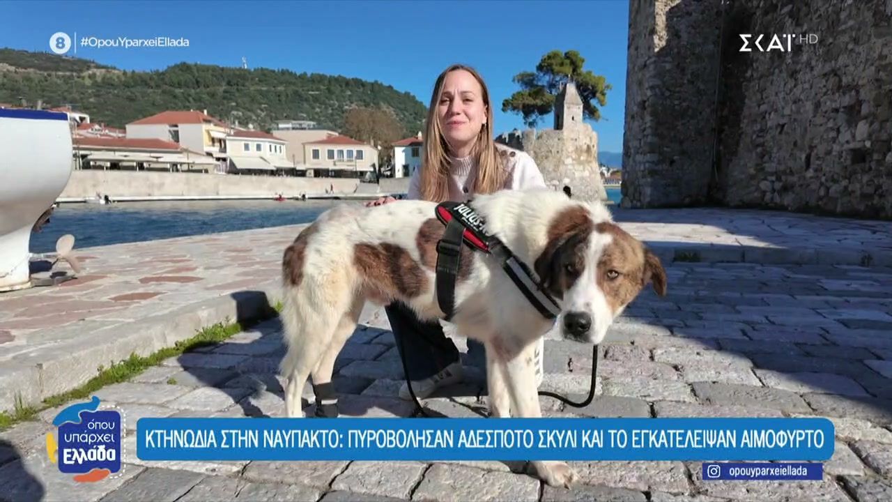 apo-ton-pyrovolismo-sti-sotiria-i-deyteri-eykairia-toy-persea-sti-zoi