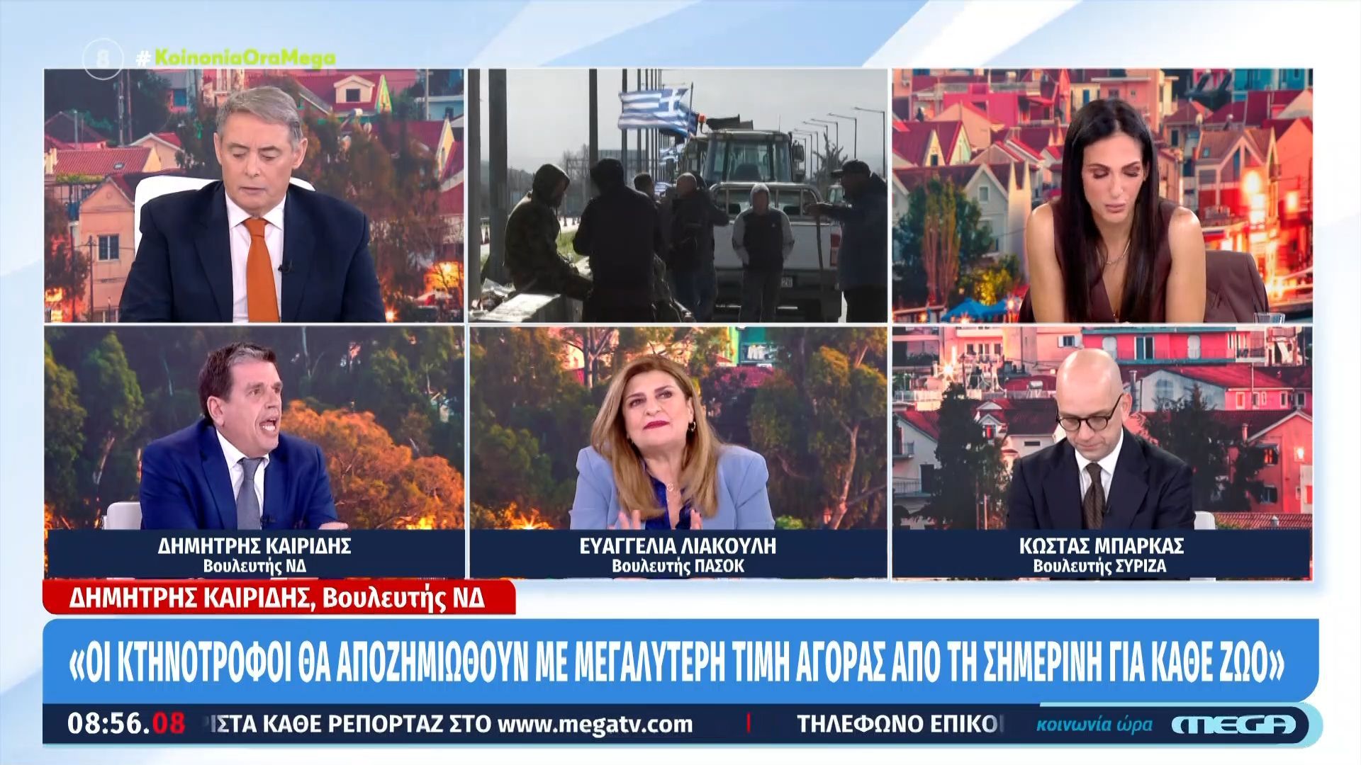 Δ. Καιρίδης: «Η ανασύσταση ζωικού κεφαλαίου θα γίνει μόλις τελειώσει η ευλογιά»