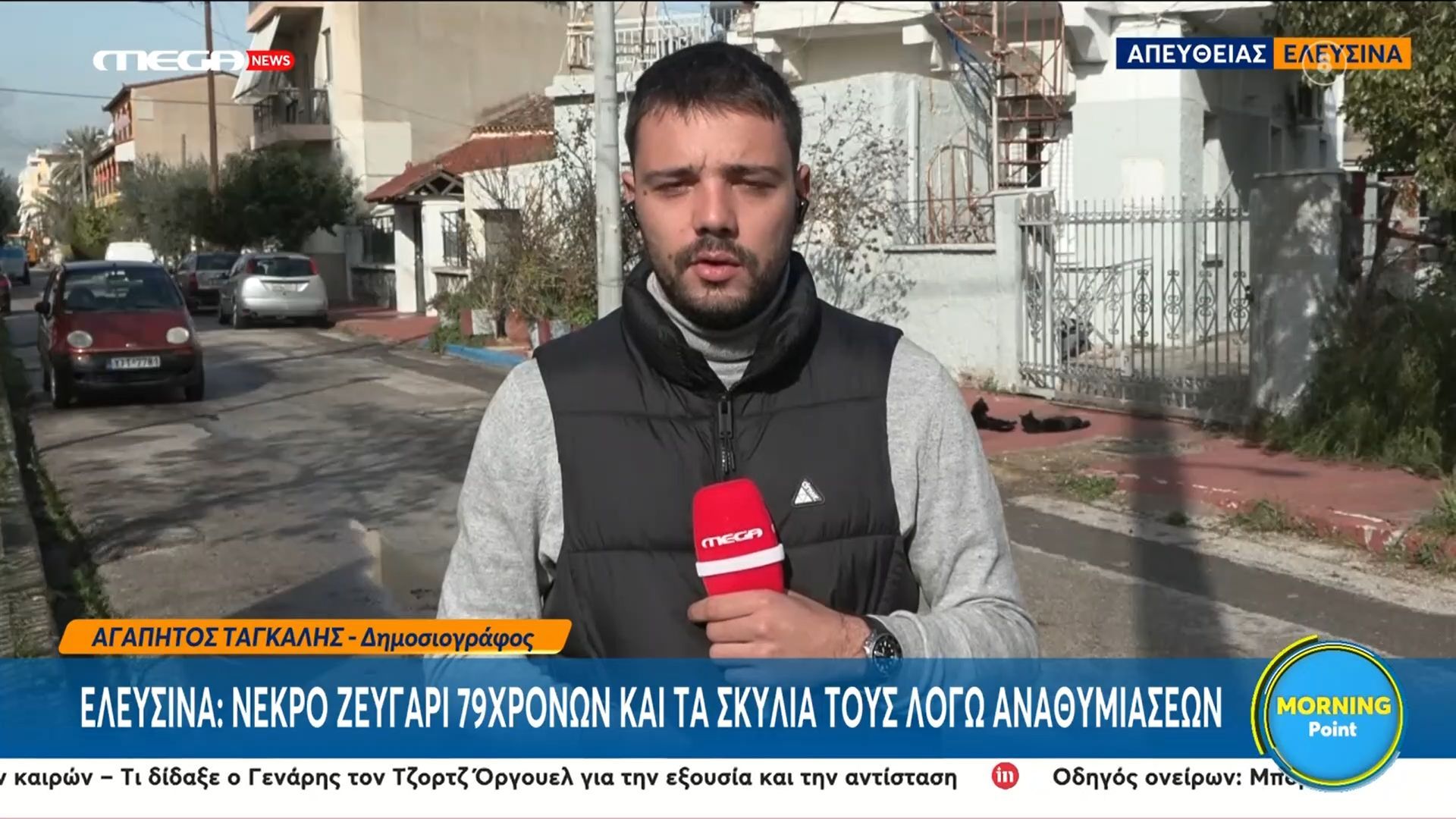 Home 59 Ελευσίνα: Νεκρό ηλικιωμένο ζευγάρι μαζί με τα δυο σκυλιά του λόγω αναθυμιάσεων