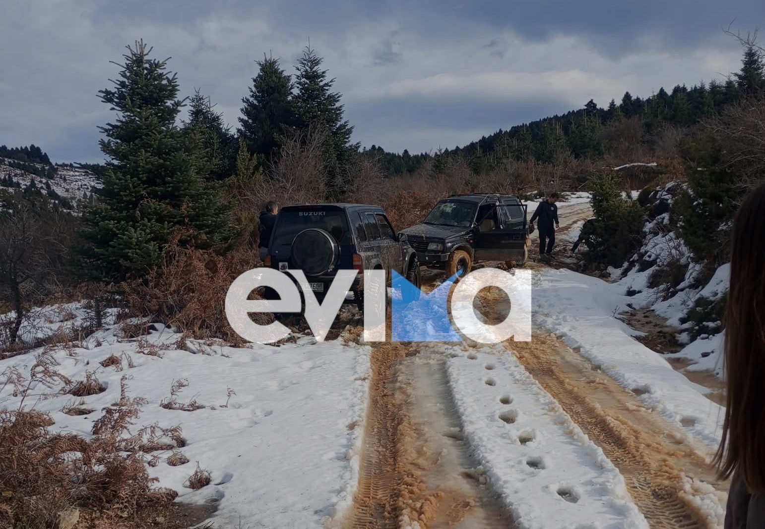 Εύβοια: Τέσσερις νέοι παγιδεύτηκαν για ώρες στα χιόνια κοντά στη Λίμνη στη Σέττα 2 αυτοκίνητο