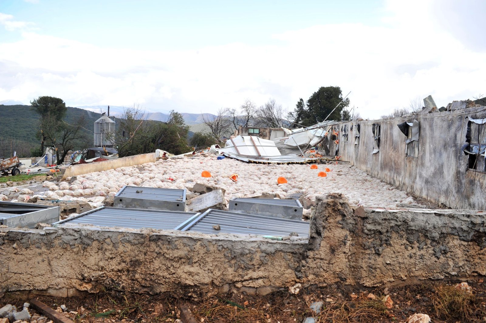 Κακοκαιρία στην Ήπειρο: Διακοπές ρεύματος, κατολισθήσεις και υπερχείλιση ποταμών – Κλειστά σχολεία σε Μέτσοβο και Τζουμέρκα